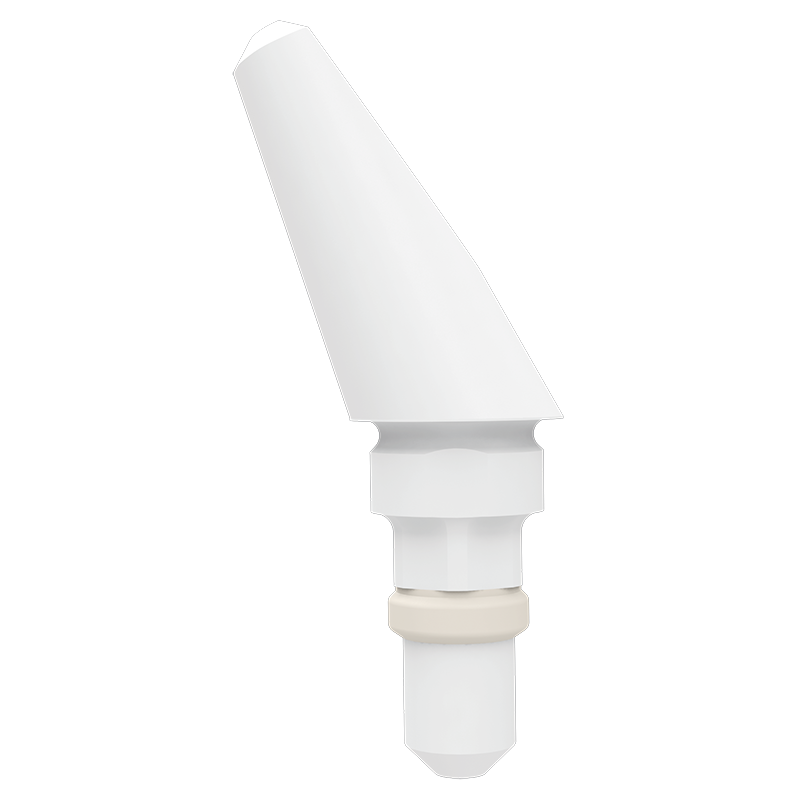 ZERALOCK Abutment - SN ZERALOCK Abutment  Angled